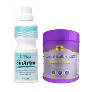 Kit Articular Sin Artin 500 ml + Magnesium Mix 600 gramos ByPluss