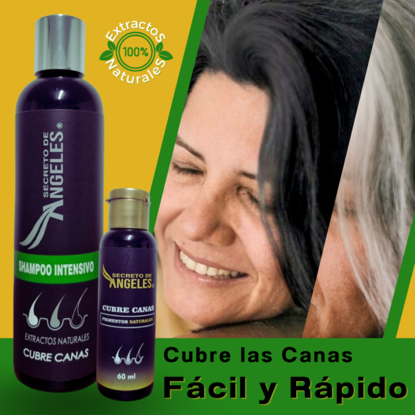 Shampoo Cubre Canas Secreto De Angeles Castaño Oscuro + Obsequio - Image 3