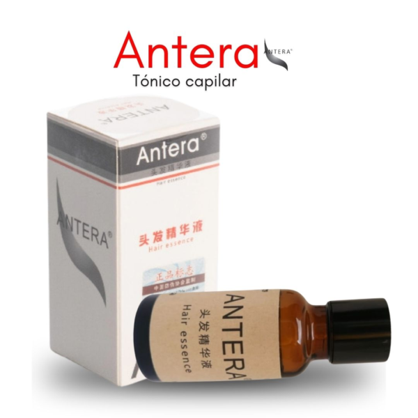 Antera