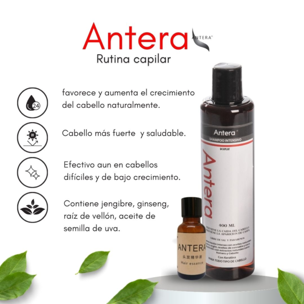 Antera