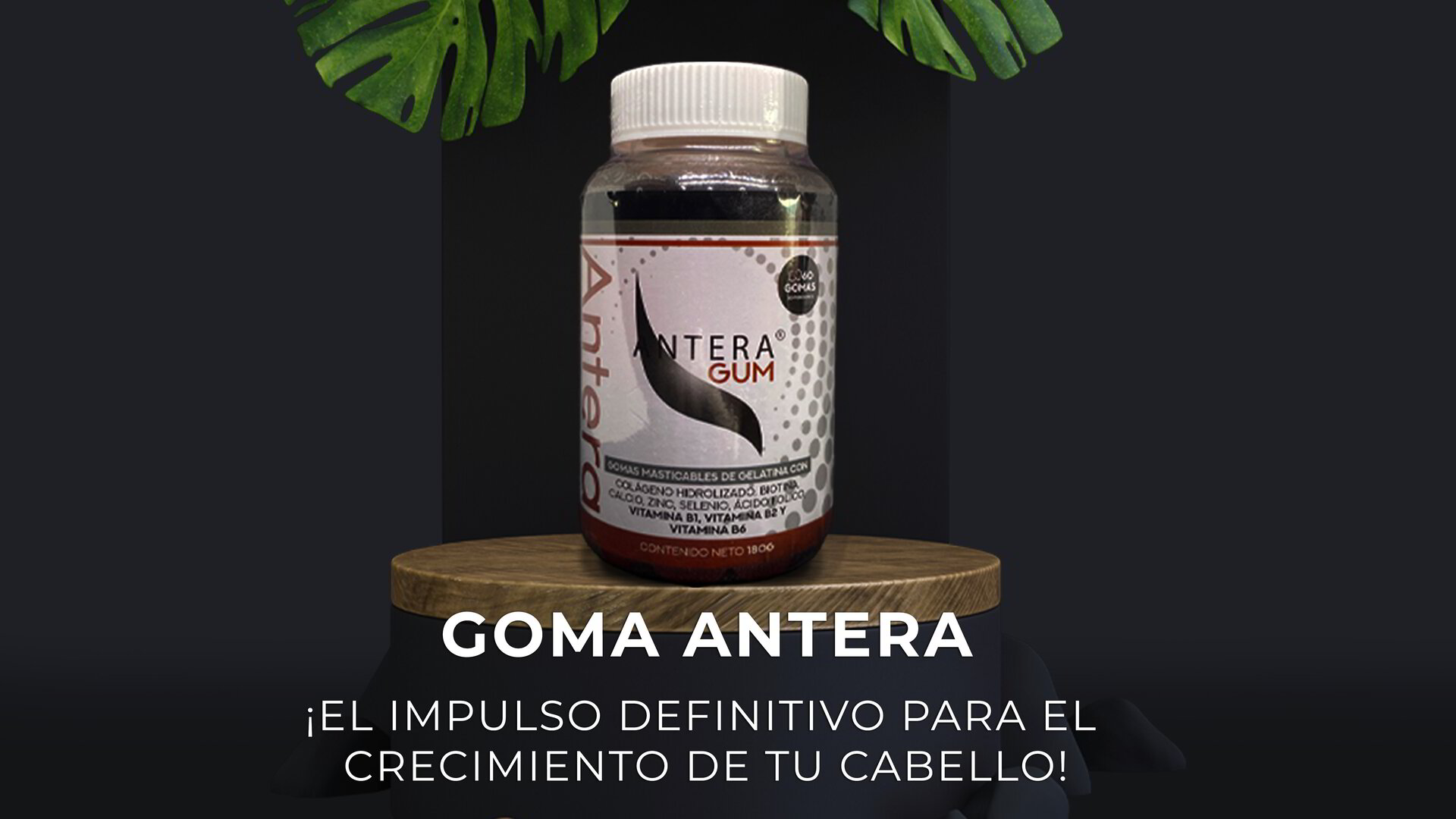 Landing Gomitas Antera - Tienda IntroAccesorios