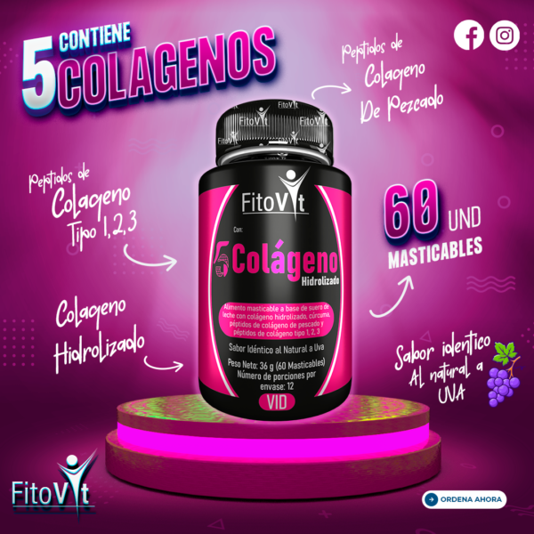 5 Colágenos Hidrolizados FitoVit (60 Masticables)